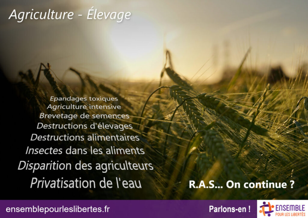 Agriculture : Craintes et opportunités