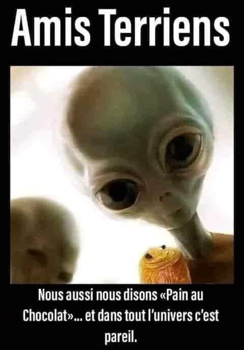 Asguards et Chocolatine
