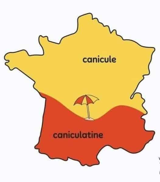 Caniculatine