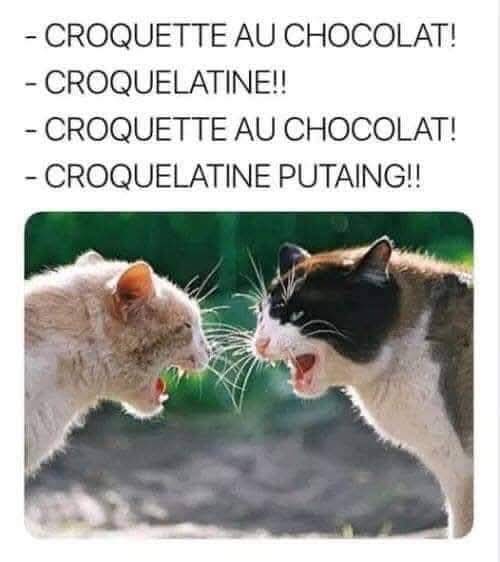 Croquelatine et Croquettes au chocolat.