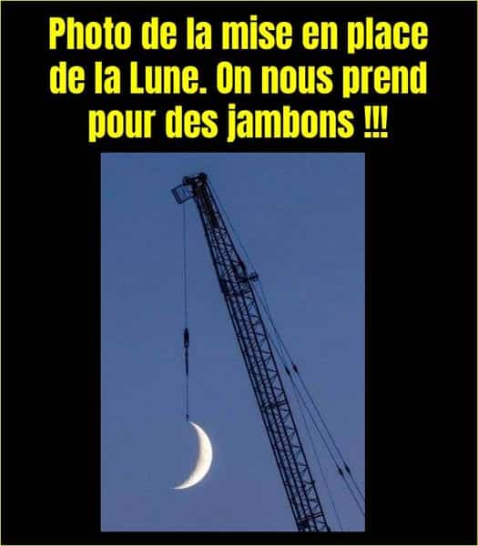 Grue accrochant la lune dans le ciel