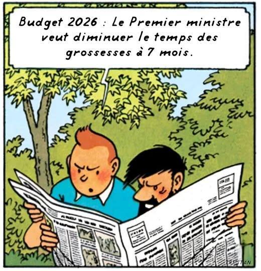Grossesse et politique