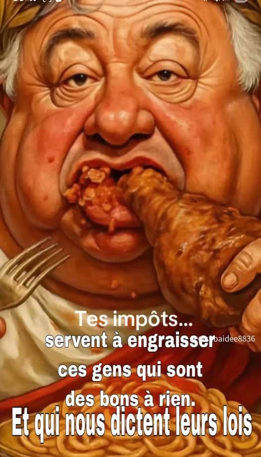A quoi servent nos impôts. Caricature Larcher