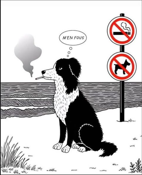 Interdiction de fumer sur les plages.