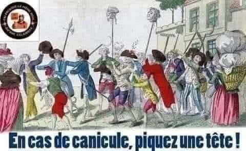 Canicule sociale
