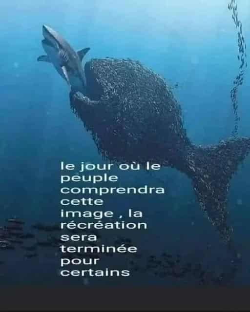 L'union fait la force