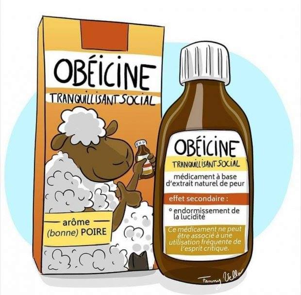 Obéicine