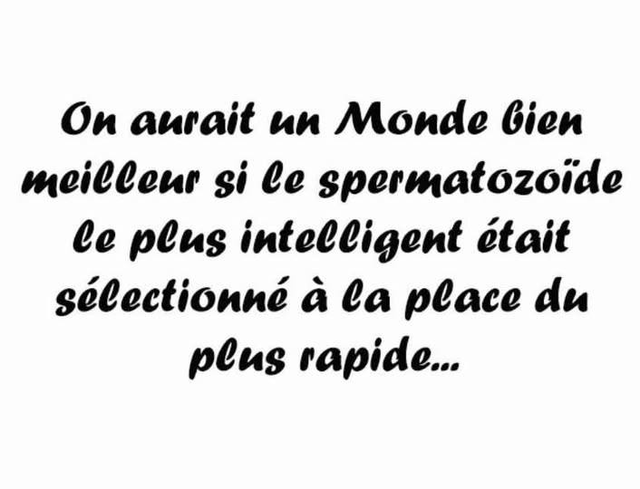 Intelligence ou rapidité